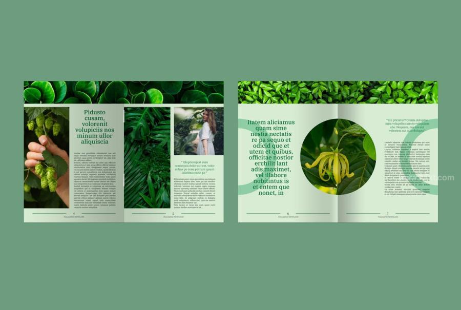 25xt-174034 Botanical-Magazinez3.jpg