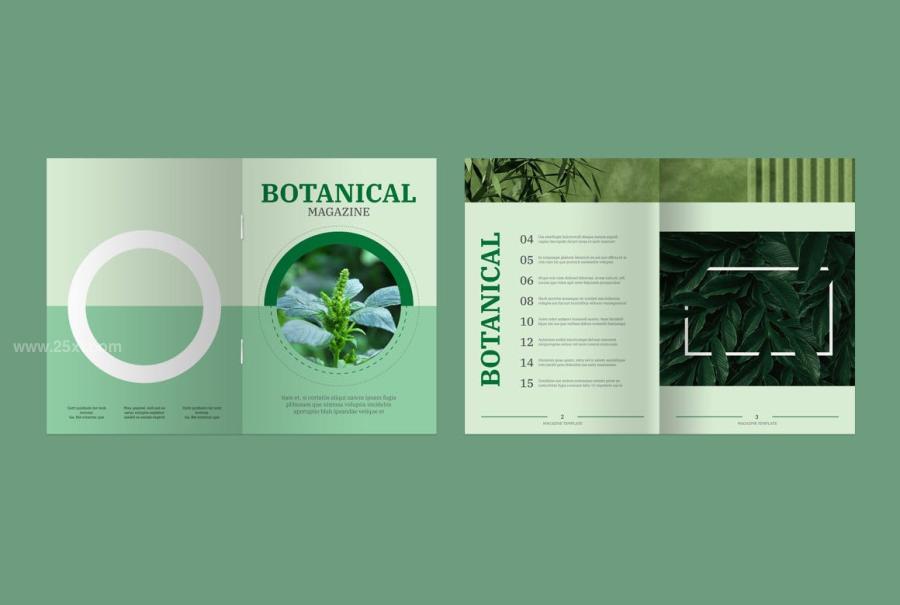 25xt-174034 Botanical-Magazinez5.jpg