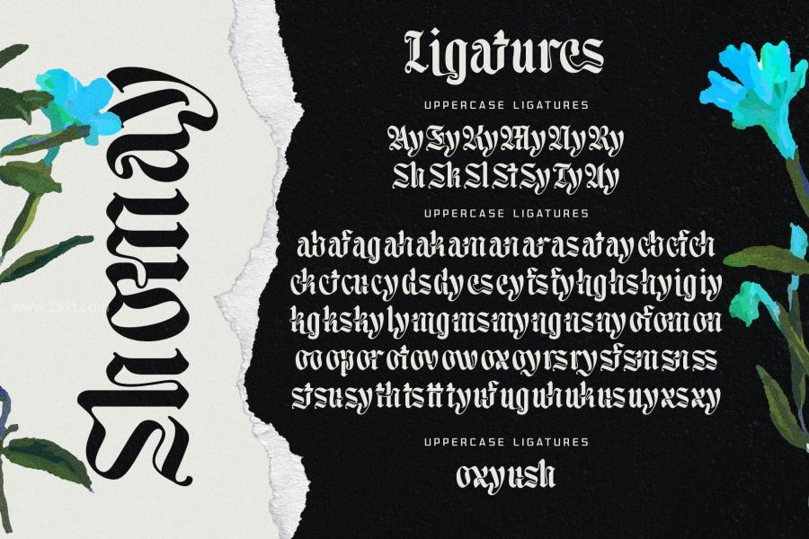 25xt-174082 Moxy-Rush-Blackletter-Typefacez13.jpg