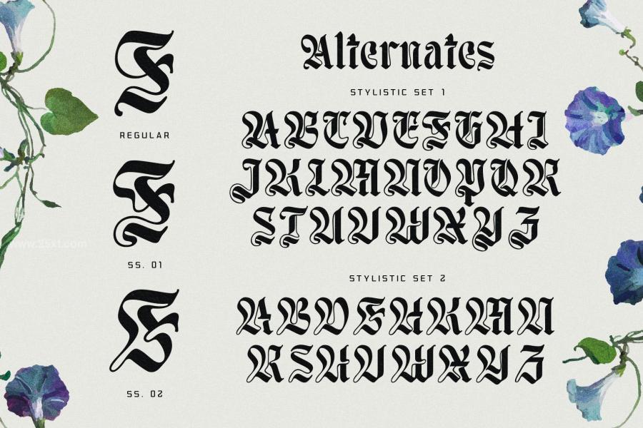 25xt-174082 Moxy-Rush-Blackletter-Typefacez16.jpg