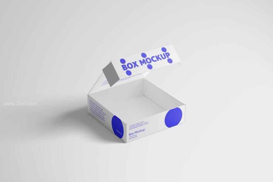25xt-174119 Packaging-Box-Mockupz6.jpg