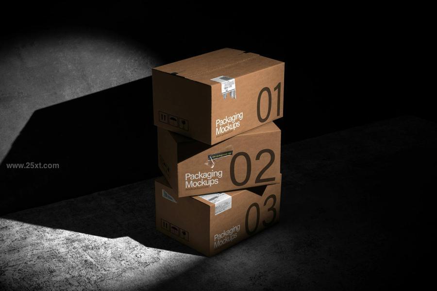 25xt-175163 Post-Packaging-Mockups-Vol-2z6.jpg
