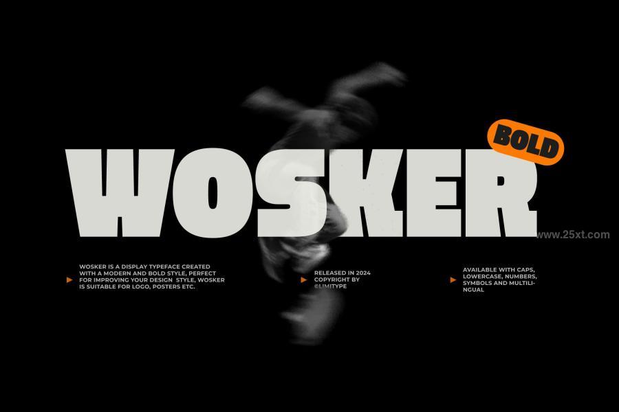 25xt-175267 Wosker---Bold-Fontz2.jpg