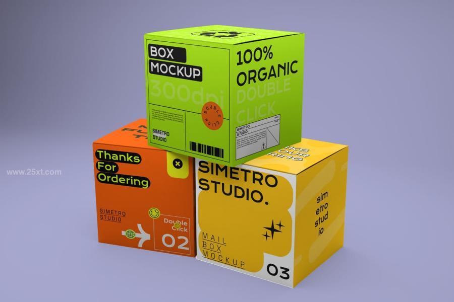 25xt-175509 Box-Mockupz3.jpg