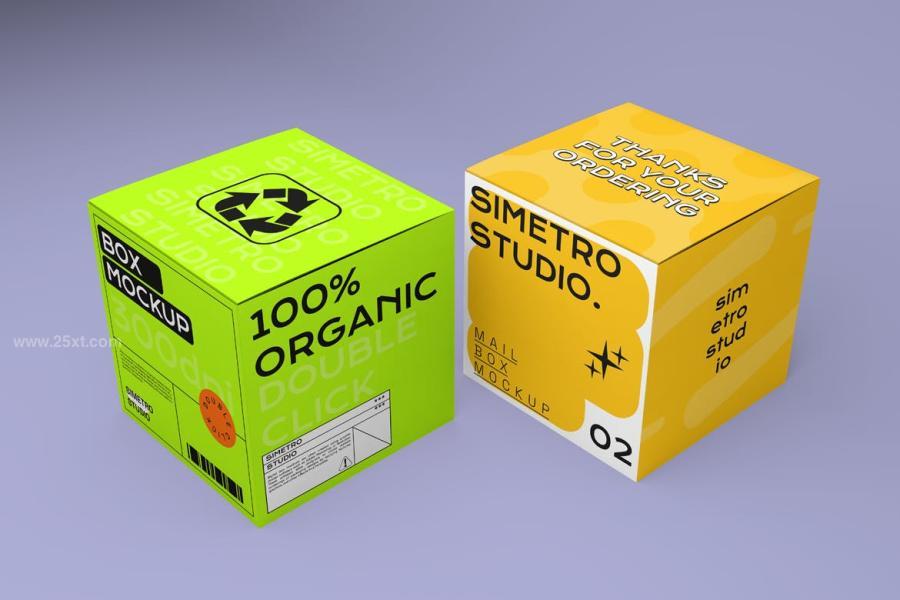 25xt-175509 Box-Mockupz4.jpg