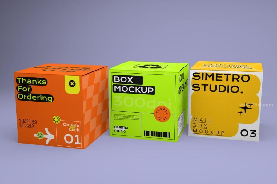 25xt-175509 Box-Mockupz5.jpg
