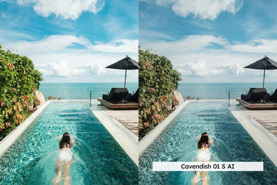 25xt-175360 20-Upscale-Travel-Lightroom-Presets-and-LUTsz13.jpg