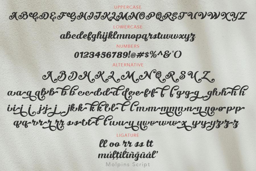 25xt-175372 Molpins-Scriptz9.jpg