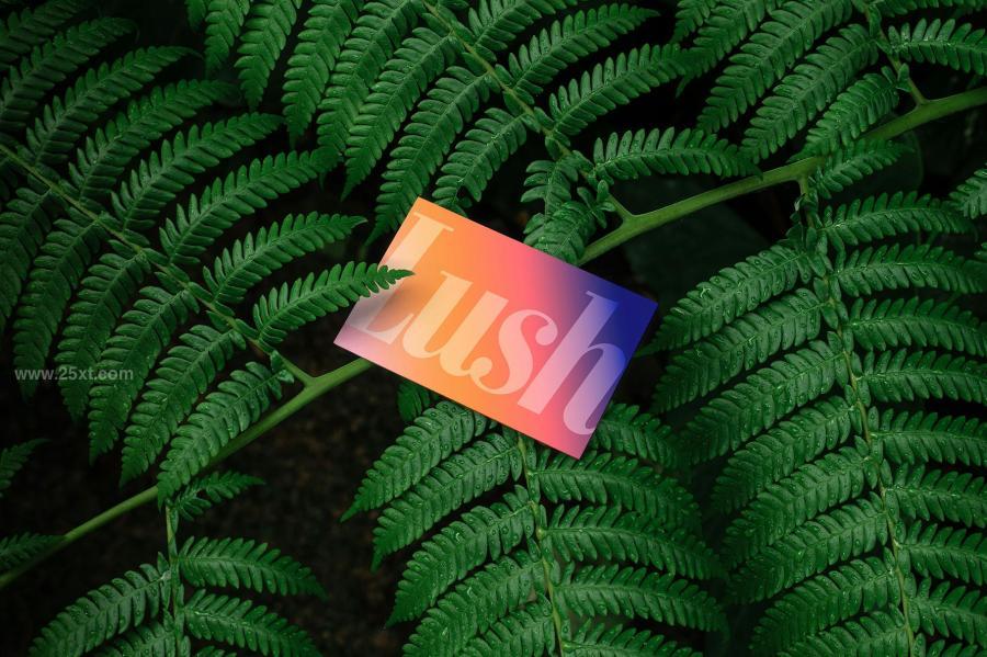 25xt-175397 Branding-Mockups-Lush-Series-02z5.jpg