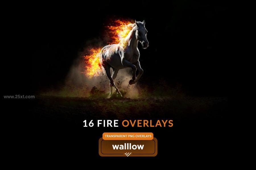 25xt-175563 Fire-and-Flame-Transparent-PNG-photoshop-overlaysz3.jpg