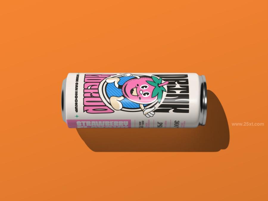 25xt-175579 Can-Mockupz3.jpg