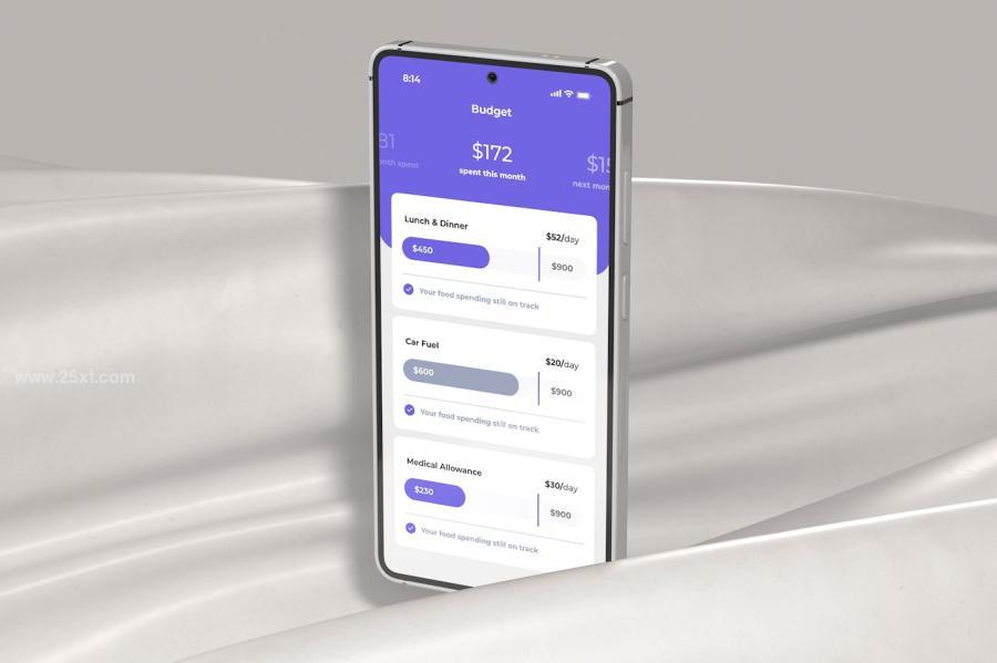 25xt-175592 Phone-Mockupz5.jpg