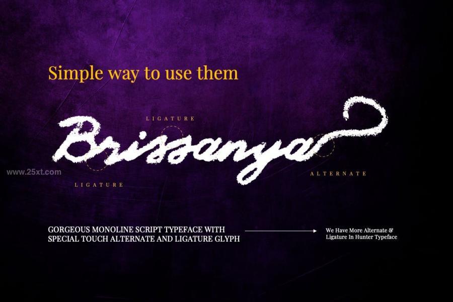 25xt-175610 Brissanya---Textured-Brush-Fontz13.jpg