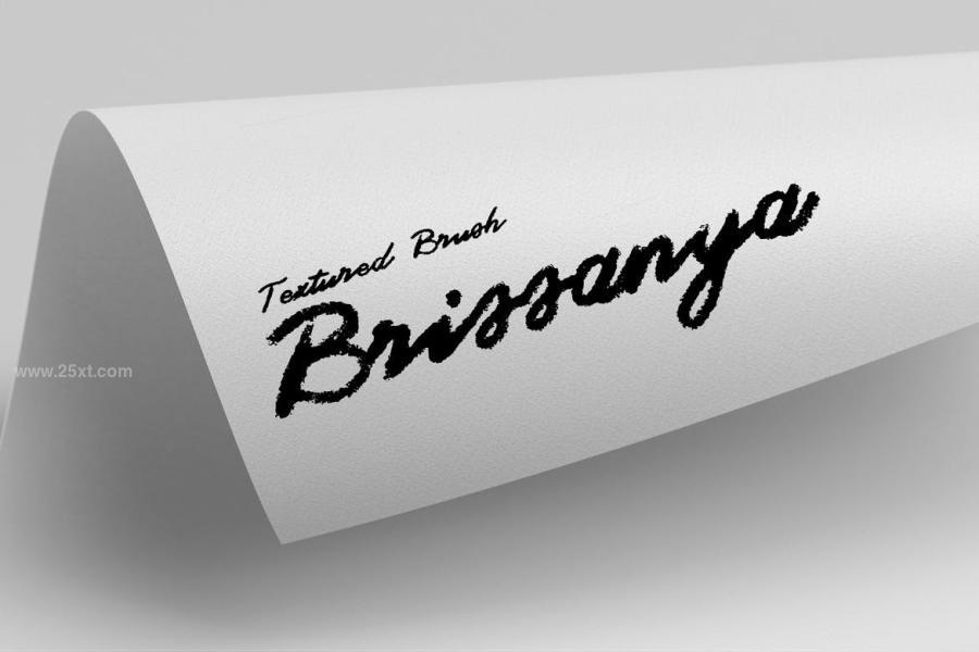 25xt-175610 Brissanya---Textured-Brush-Fontz9.jpg