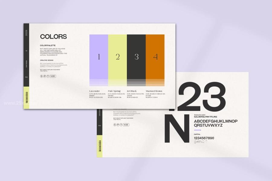 25xt-175810 Brand-Guideline-Presentation-Templatez7.jpg