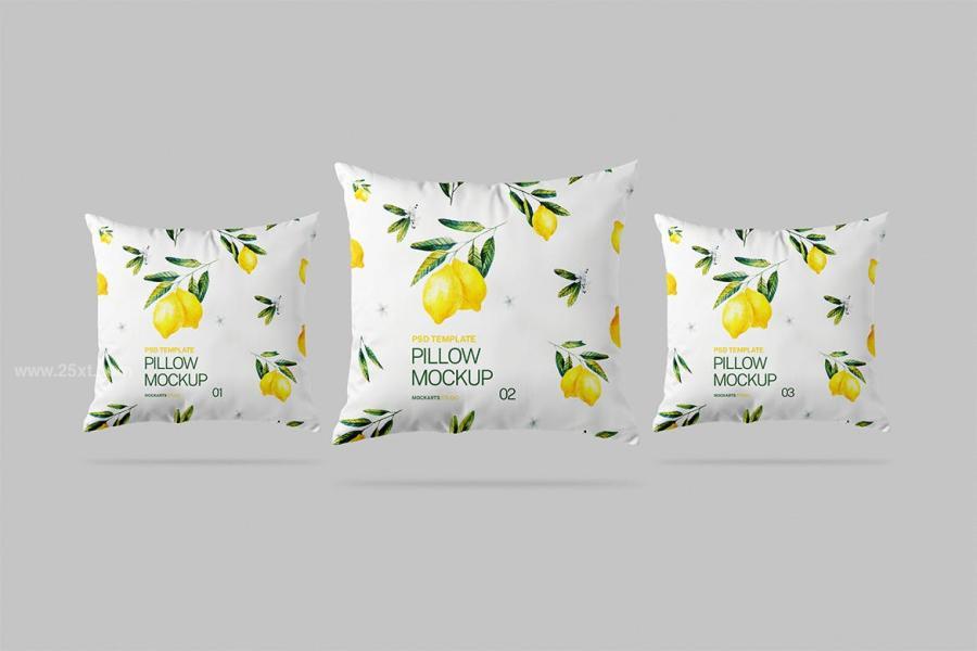 25xt-175819 Pillow-Mockupz3.jpg