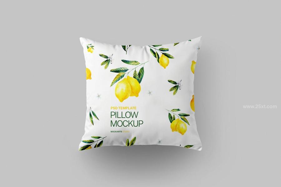25xt-175819 Pillow-Mockupz5.jpg