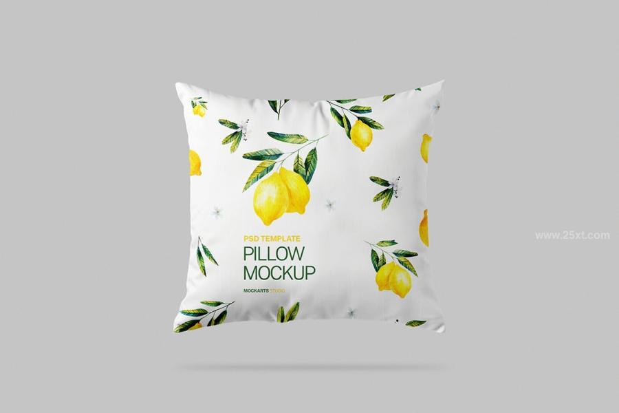 25xt-175819 Pillow-Mockupz8.jpg