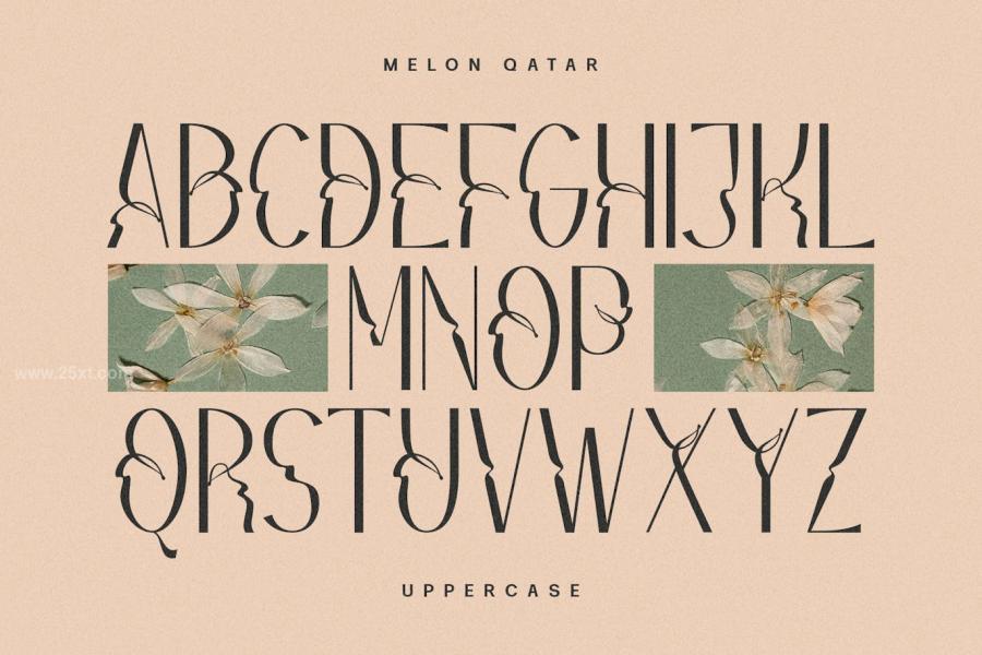25xt-175885 Melon-Qatar-Typefacez9.jpg