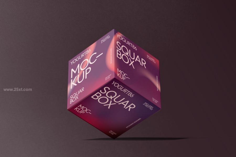 25xt-176042 Square-Cardboard-Box-Mock-upz12.jpg