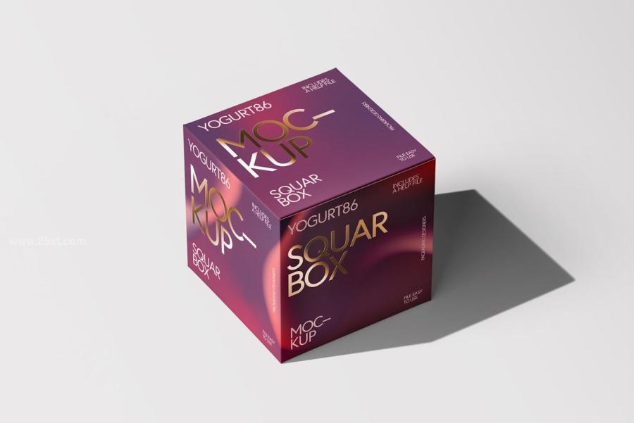 25xt-176042 Square-Cardboard-Box-Mock-upz5.jpg