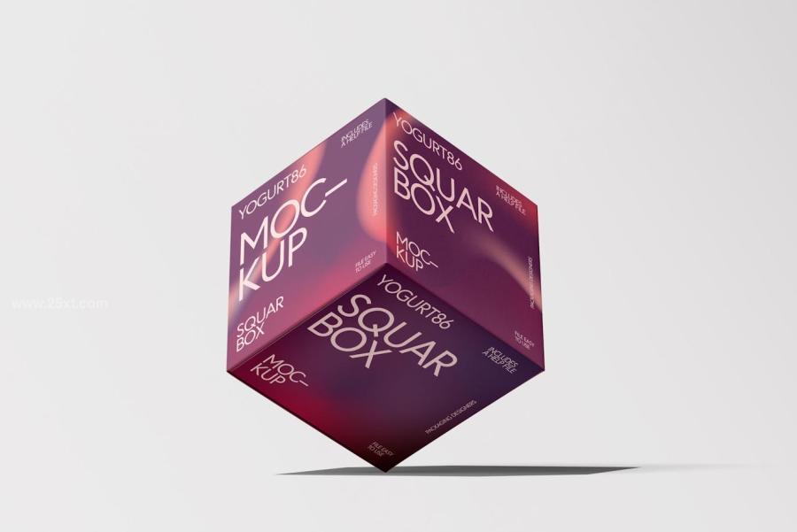 25xt-176042 Square-Cardboard-Box-Mock-upz6.jpg