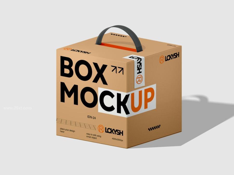 25xt-176046 Box-Mockupz4.jpg