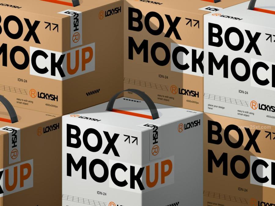 25xt-176046 Box-Mockupz5.jpg