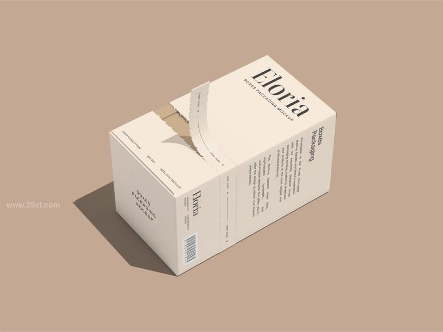 25xt-176053 Box-Mockupz3.jpg