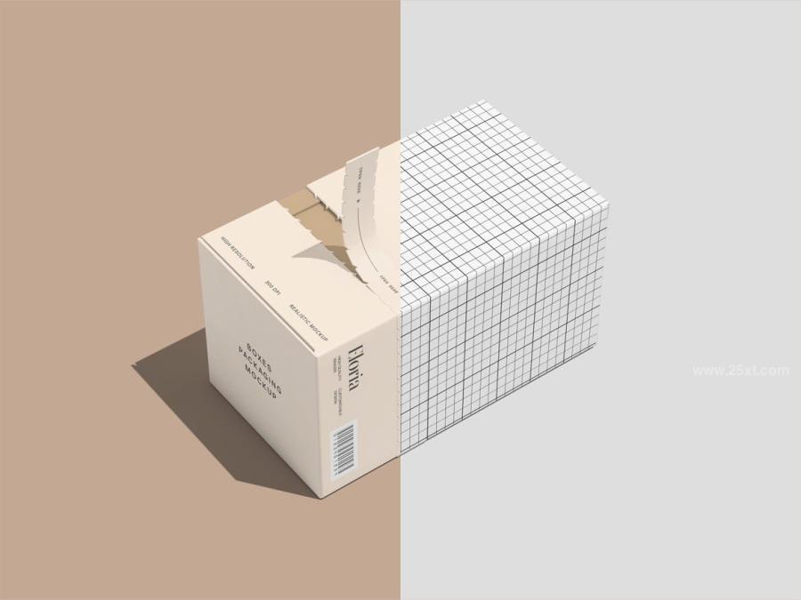 25xt-176053 Box-Mockupz4.jpg