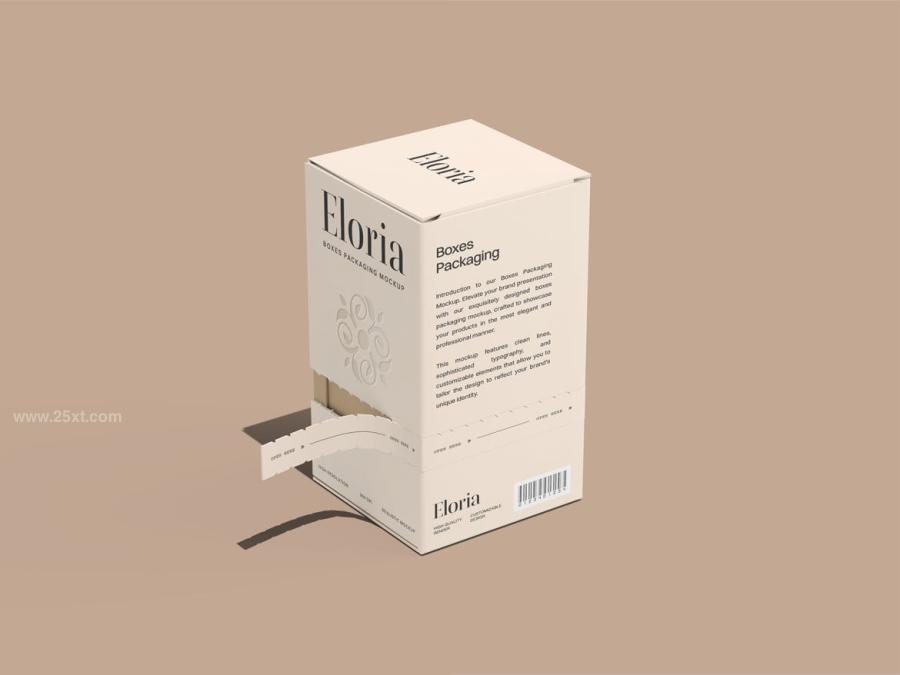 25xt-176053 Box-Mockupz5.jpg