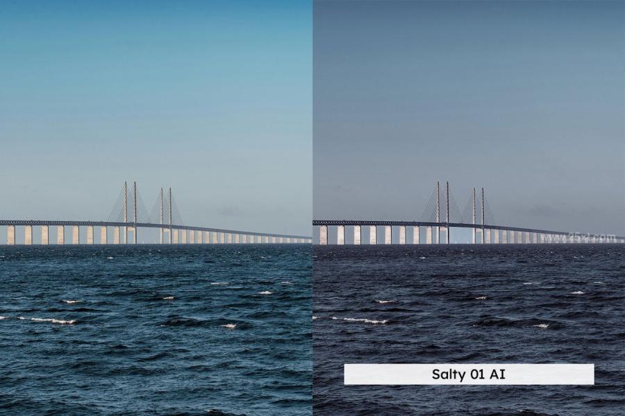 25xt-176057 20-Ocean-Lightroom-Presets-and-LUTsz8.jpg