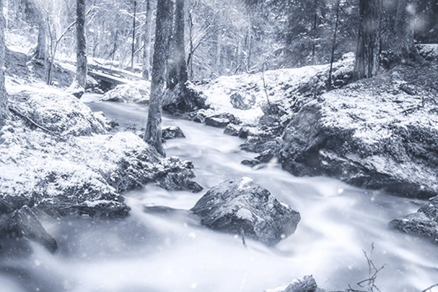 Winter Photoshop Action-4.jpg