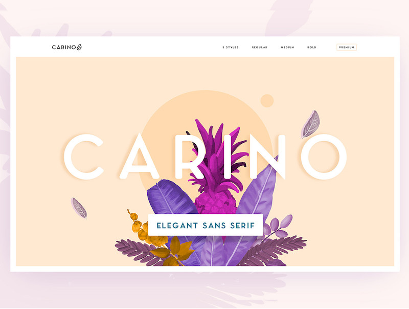 Carino - A Modern Elegant Sans-1.jpg