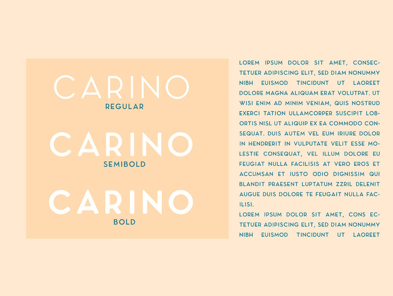 Carino - A Modern Elegant Sans-11.jpg