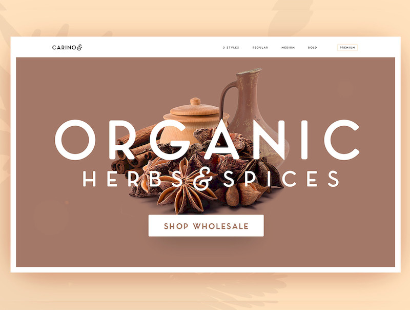 Carino - A Modern Elegant Sans-9.jpg