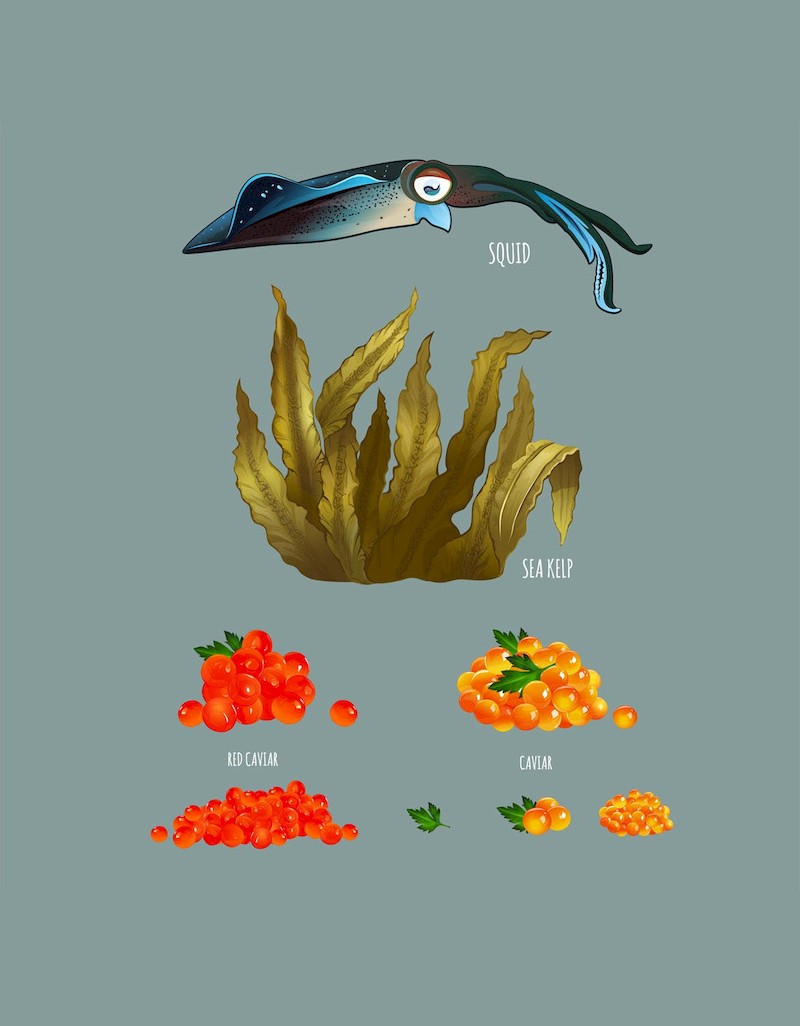 Seafood Vector Pack-5.jpg