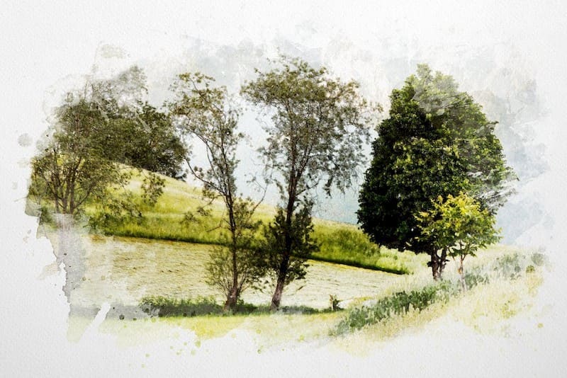 Watercolor Dry Brush Effects-1.jpg