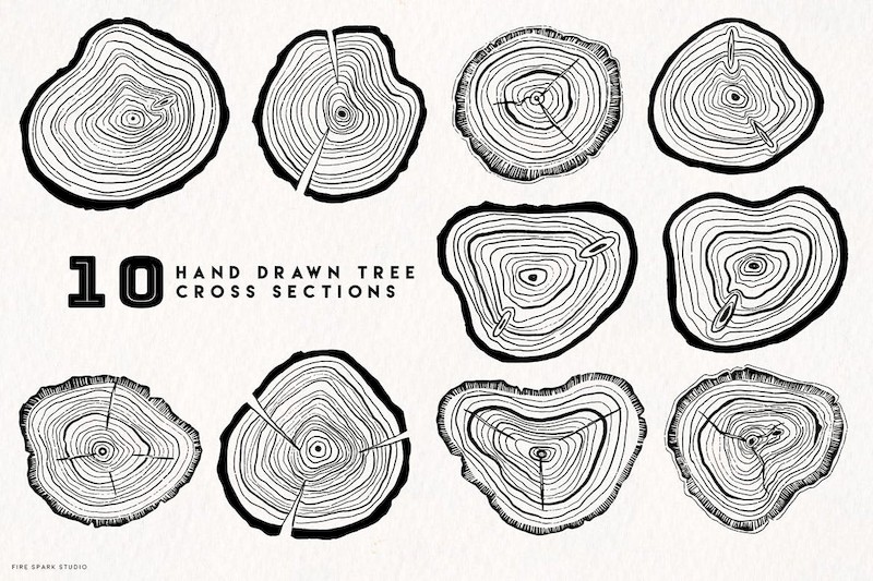 Timber Vector Tree Ring Illustrations-4.jpg