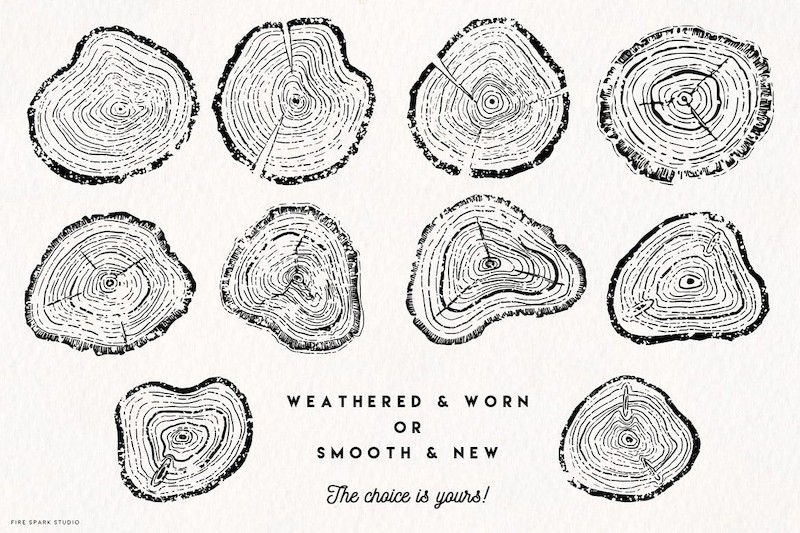 Timber Vector Tree Ring Illustrations-5.jpg