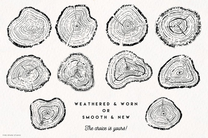 Timber Vector Tree Ring Illustrations-5.jpg
