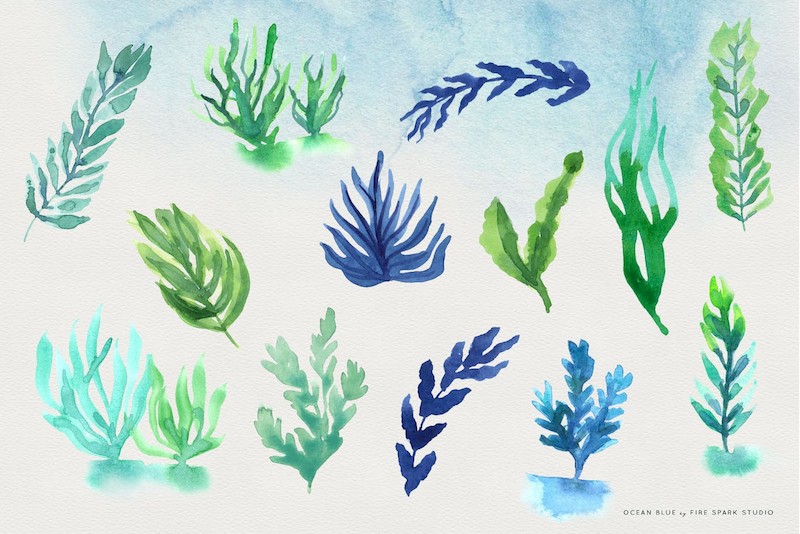 Ocean Blue Watercolor Illustrations-1.jpg