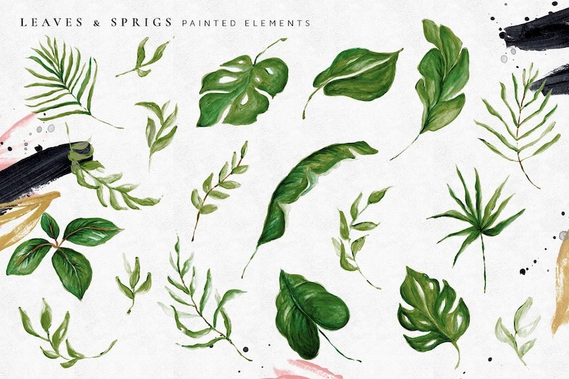 Tropical Foliage Illustration Pack-3.jpg