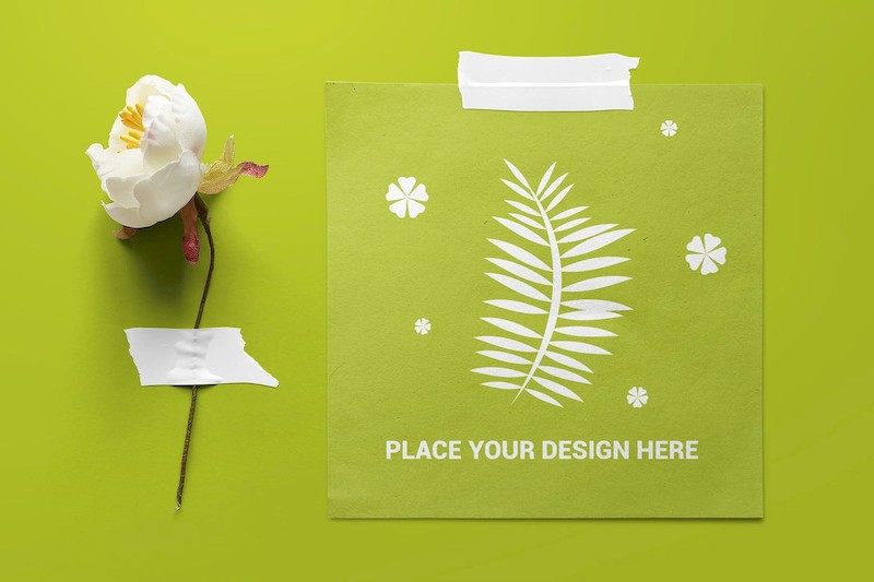 Taped Paper Mockup-2.jpg