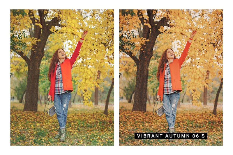 30 Autumn Enhancer Lightroom Presets and LUTs-3.jpg