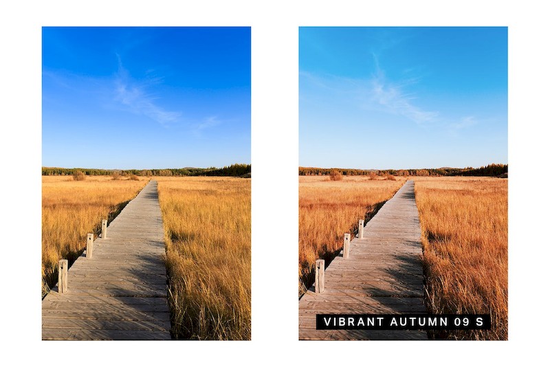 30 Autumn Enhancer Lightroom Presets and LUTs-2.jpg