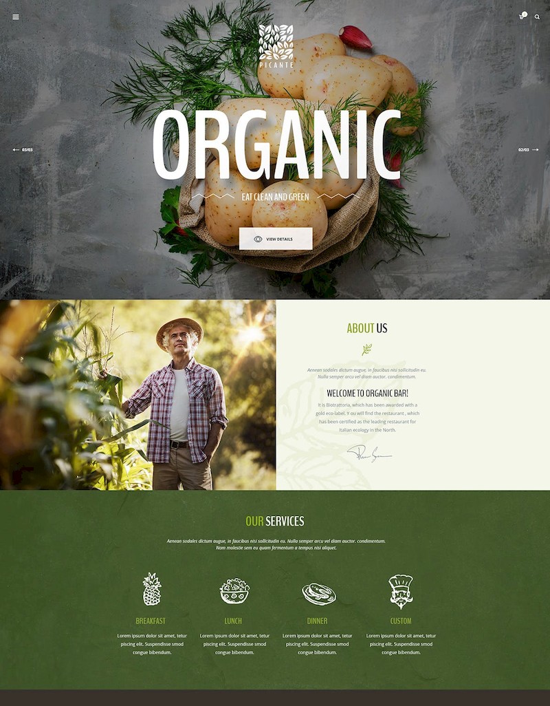 Gourmet - Food & Restaurant PSD Template-1.jpg