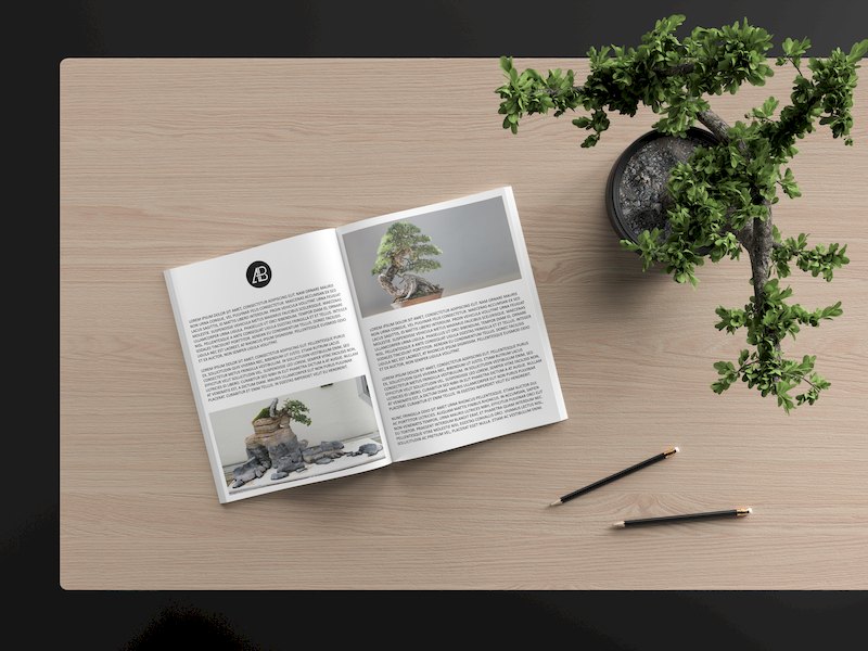 37478 Modern Catalog Magazine Mockup.jpg