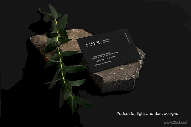 Pure Branding Mockup Vol. 1-1.jpg
