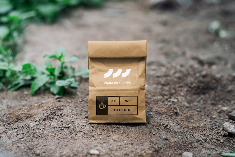 Kraft Paper Bag Mockup.jpg